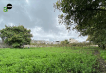 Ambato libera del impuesto predial a tierras comunales