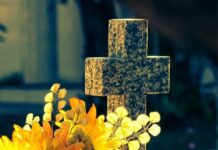 El camino de la Voluntad de Dios, Misa Dominical