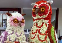 Circuito de las flores listo para bodas de diamante