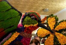 Circuito de las Flores en espacios culturales de Ambato