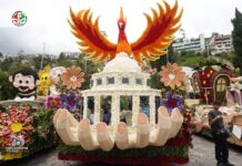 Feriado de Carnaval movió USD 81,9 millones