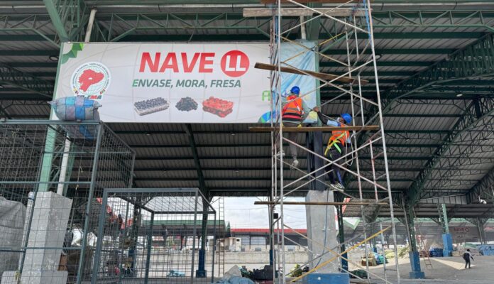 WhatsApp-Image-2025-01-14-at-17.52.29-1-1620x930