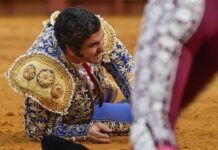 La cornada que no mata al arte