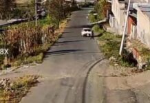 Víctima de atropello en Picaihua falleció en hospital