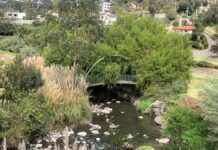 Paseo ecológico se construirá en Atocha