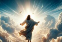 La Ascensión del Señor, misa dominical