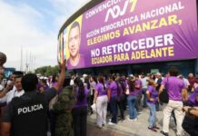 El oficialismo y las seccionales