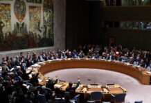 El gobierno y las ganancias de la IA