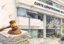 Nuevamente, la Corte Constitucional